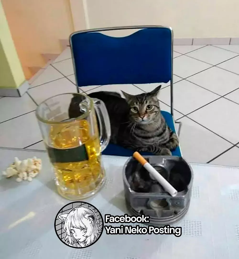 NICOTINEKO capítulo 5 página 7
