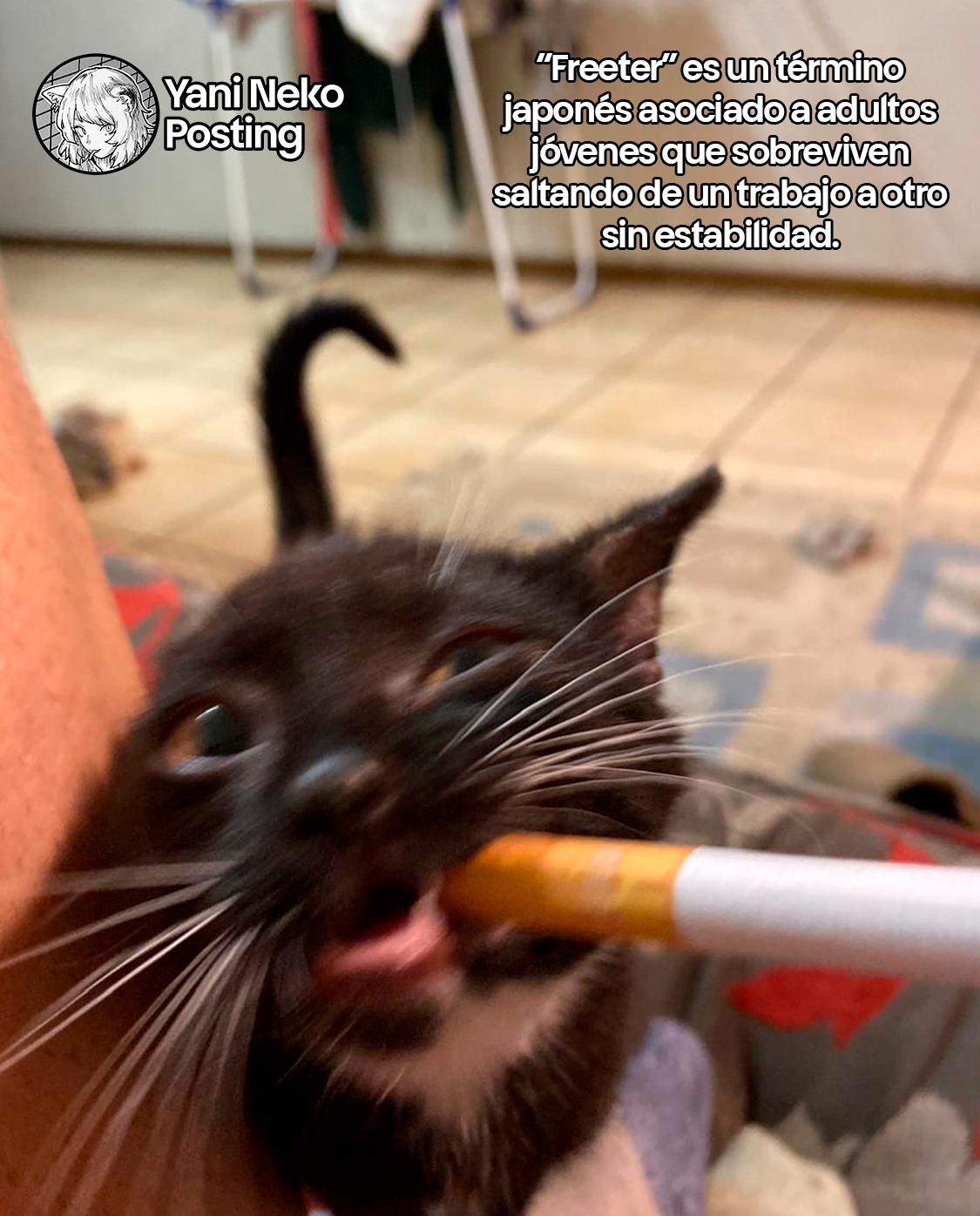 NICOTINEKO capítulo 52 página 5