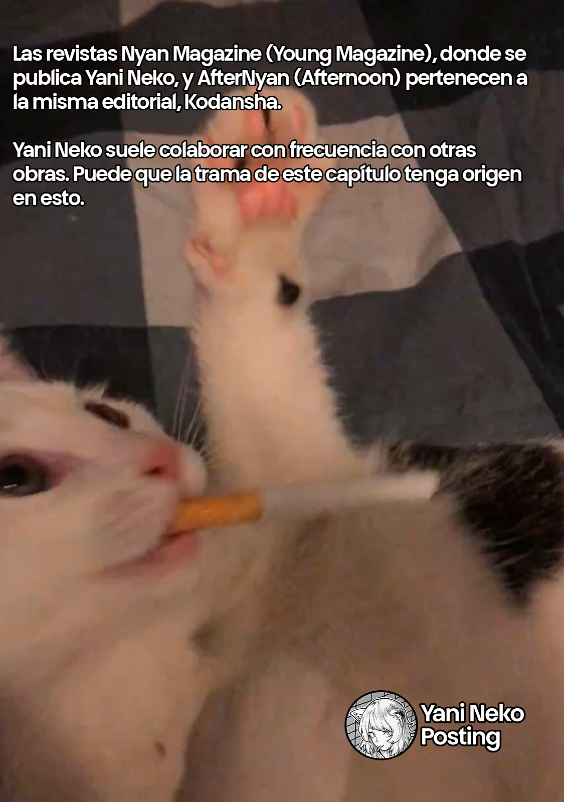 NICOTINEKO capítulo 58.5 página 7