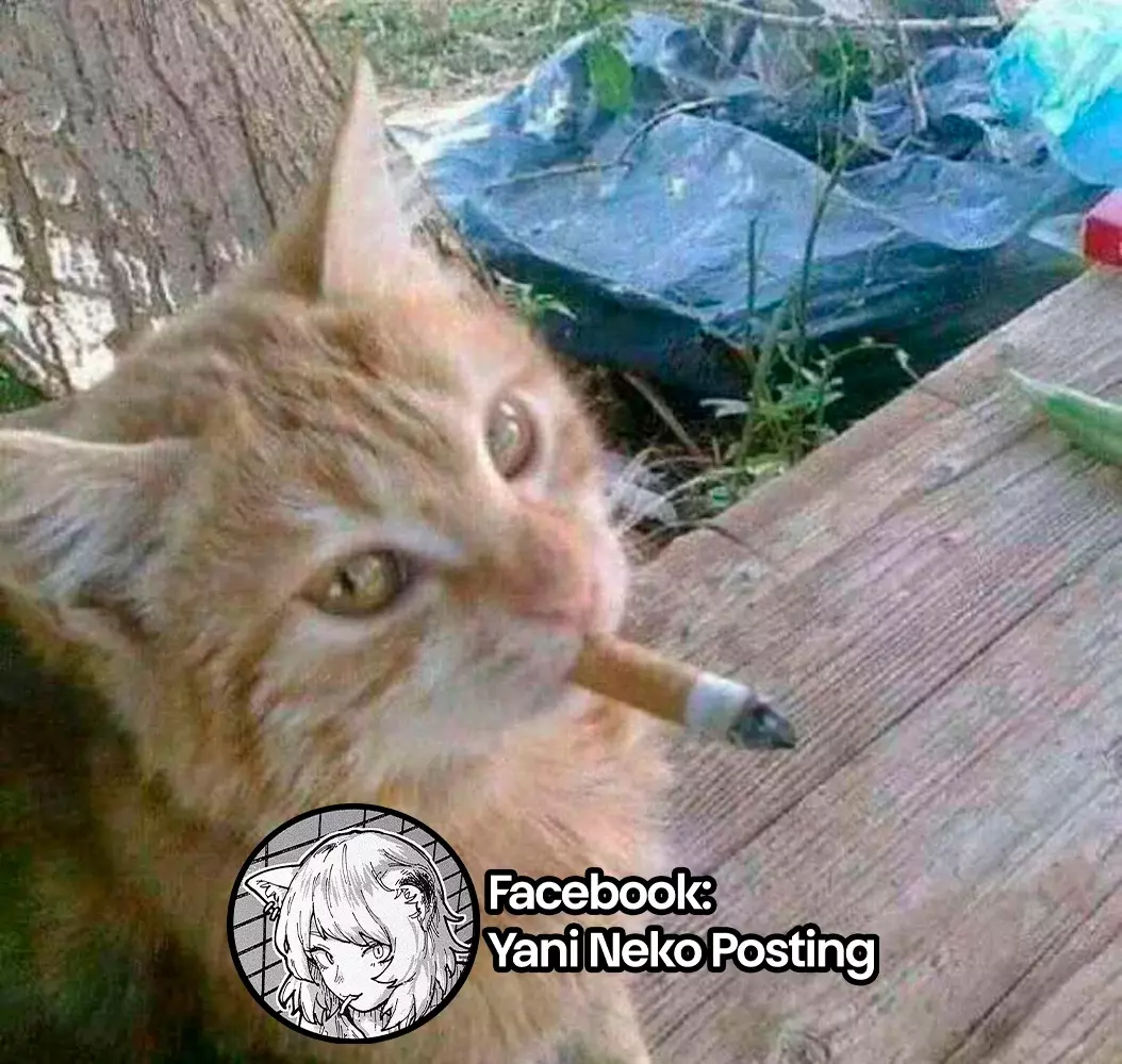NICOTINEKO capítulo 6 página 7