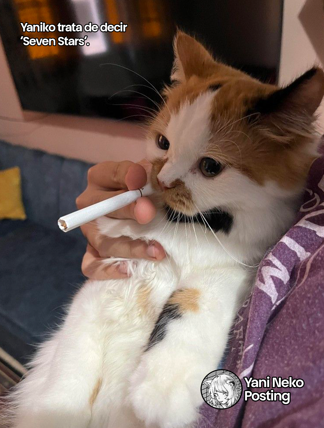 NICOTINEKO capítulo 63 página 5