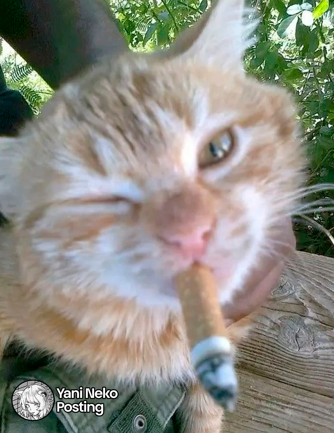 NICOTINEKO capítulo 71 página 5