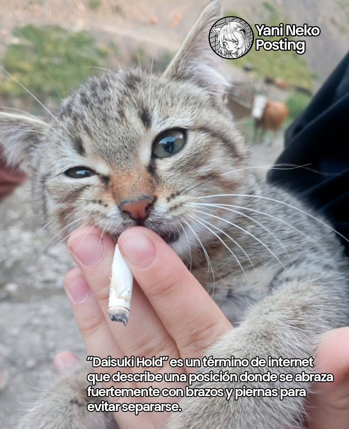NICOTINEKO capítulo 72 página 7