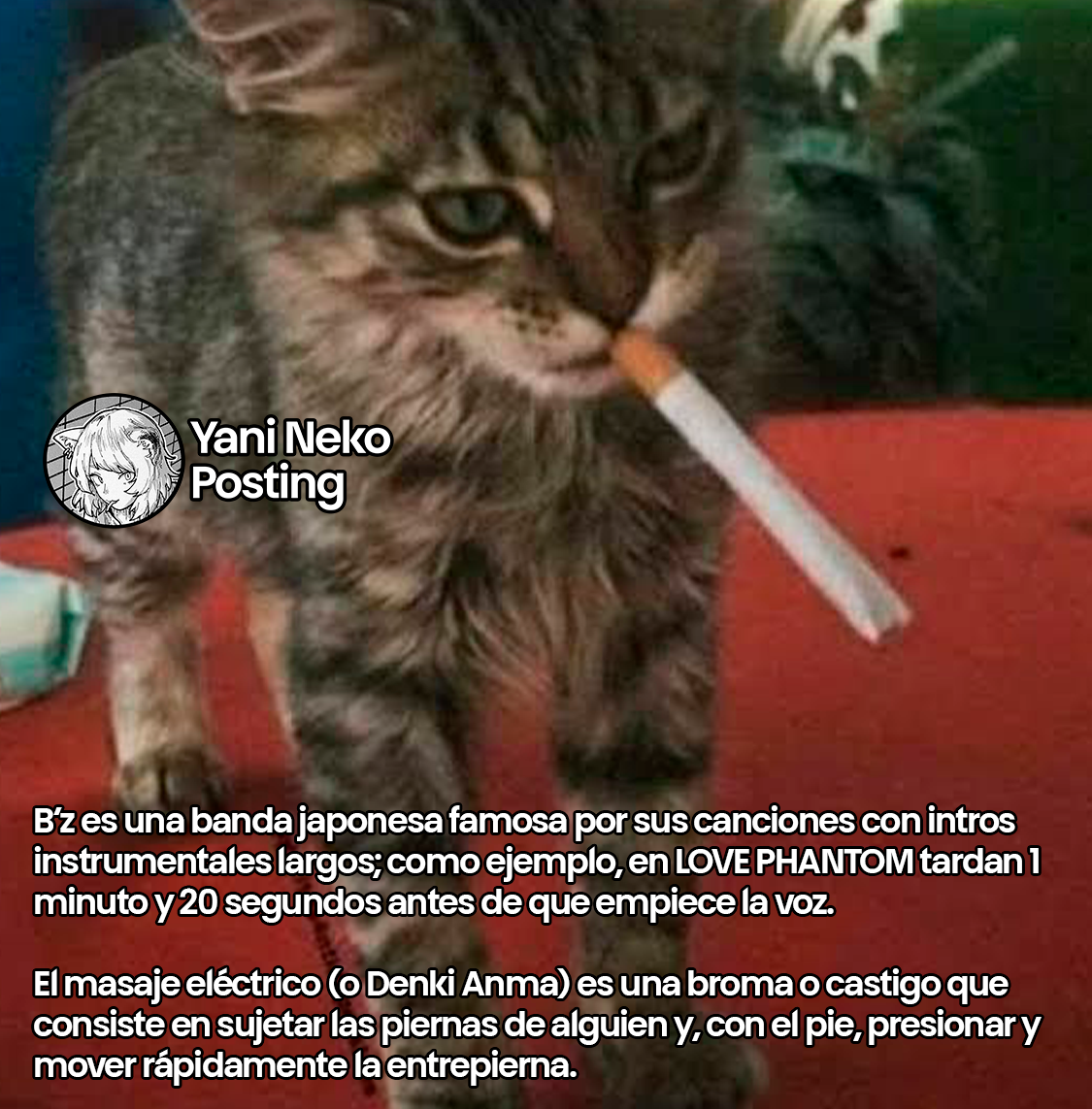 NICOTINEKO capítulo 73 página 5
