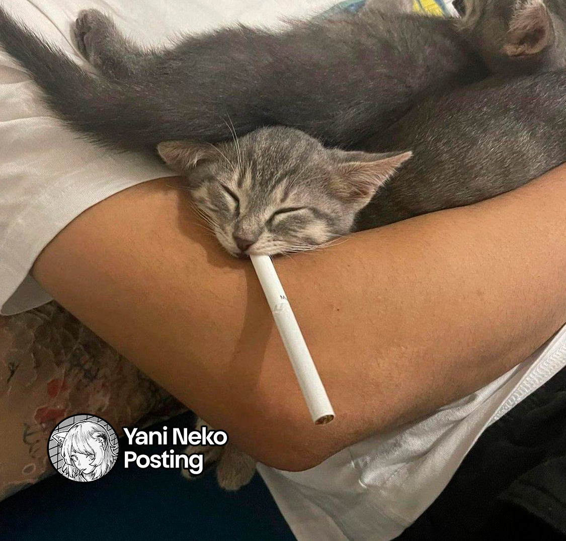 NICOTINEKO capítulo 76 página 7