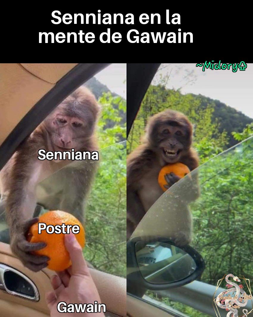 LA JOVEN CHEF ROYAL capítulo 36 página 68