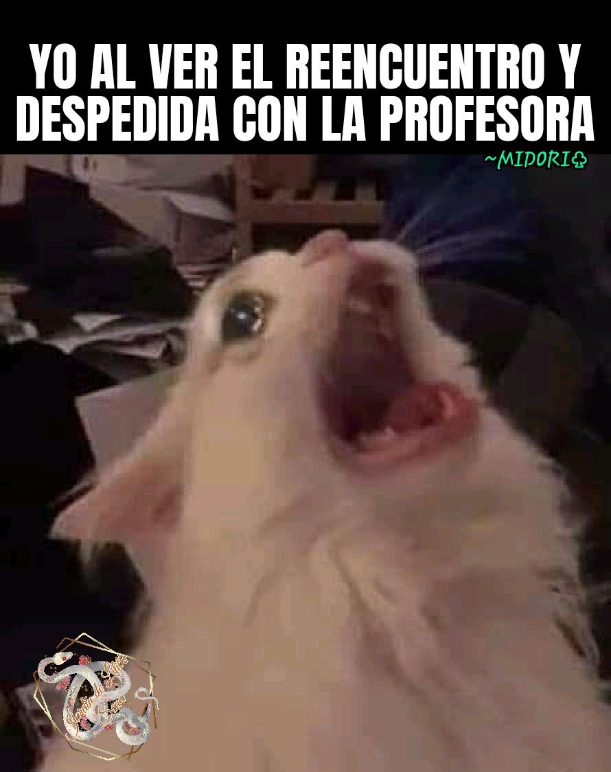 LA JOVEN CHEF ROYAL capítulo 36 página 71
