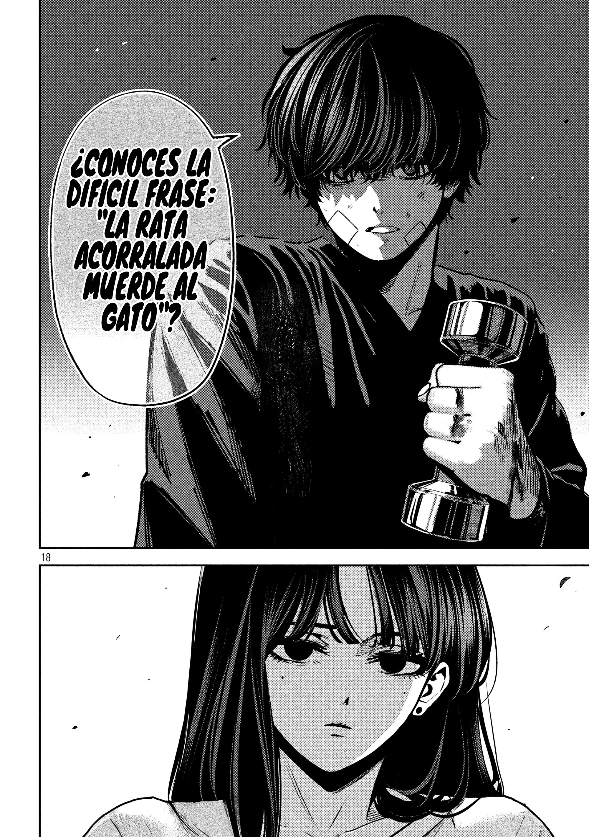 Bouryoku Banzai capítulo 34 página 19