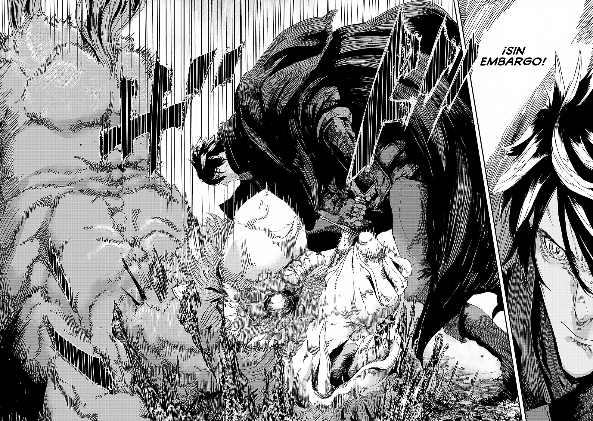 Ookami wa Nemuranai capítulo 2 página 13