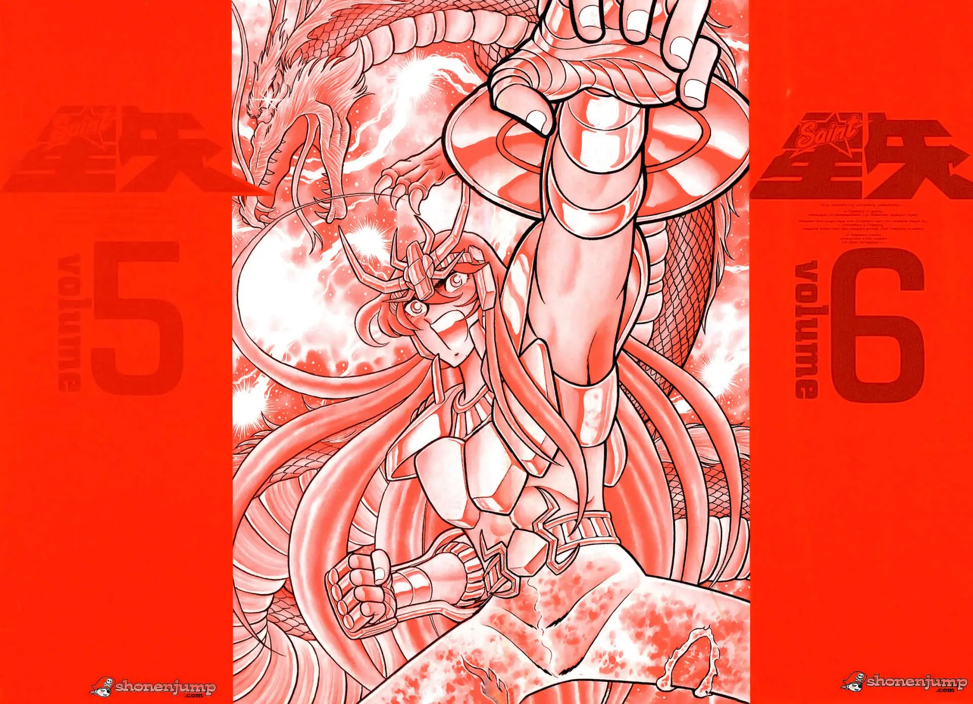 Saint Seiya Kanzenban capítulo 24 página 4