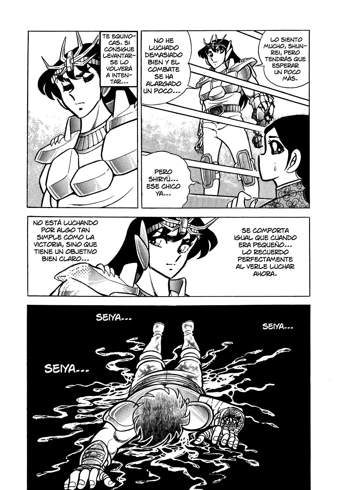 Saint Seiya Kanzenban capítulo 8 página 10