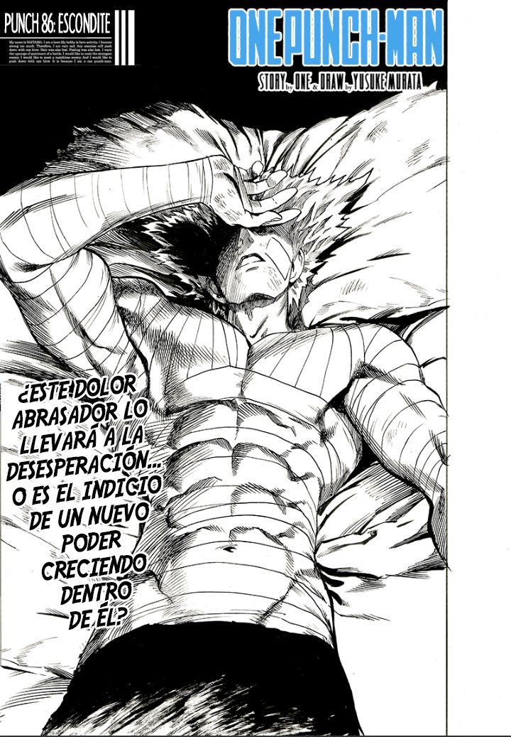 One Punch-Man capítulo 127 página 2