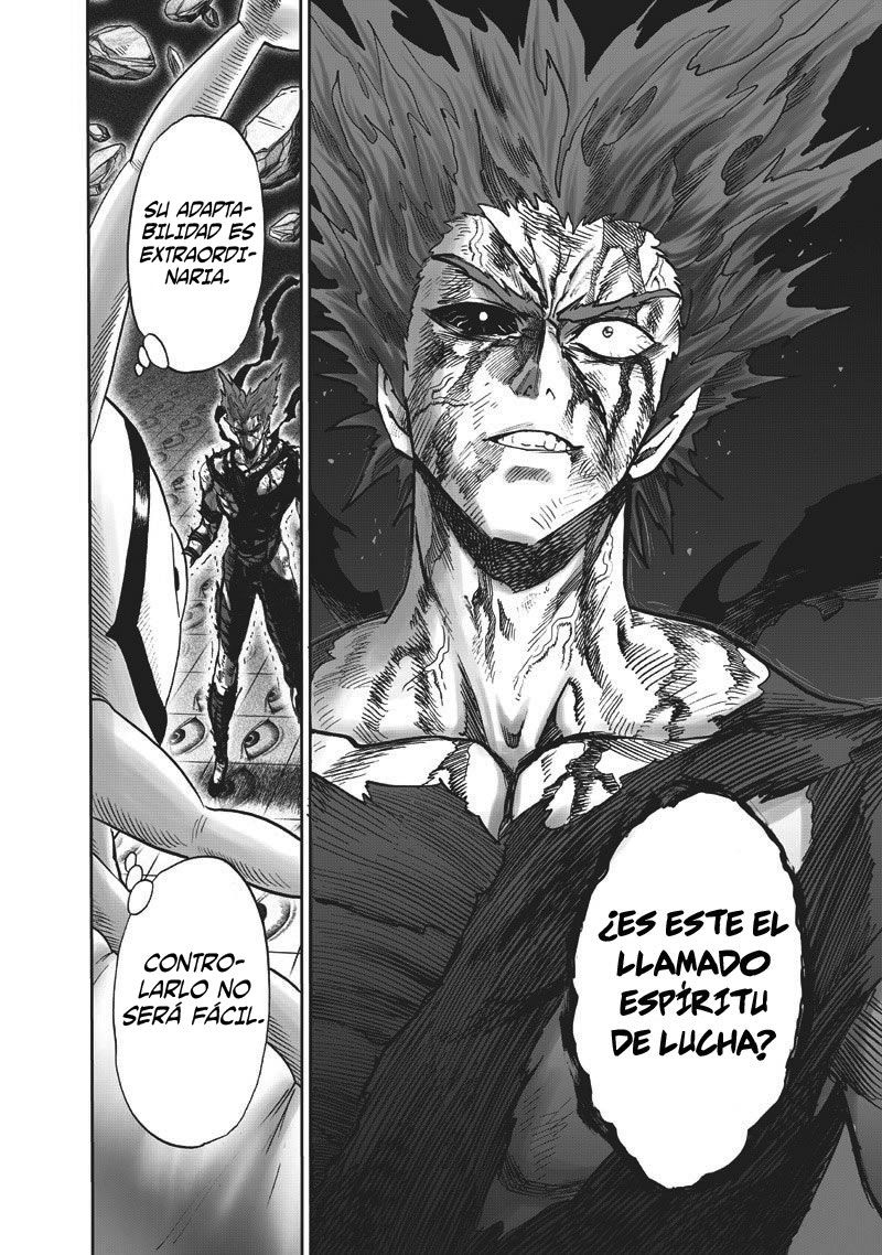 One Punch-Man capítulo 133 página 15