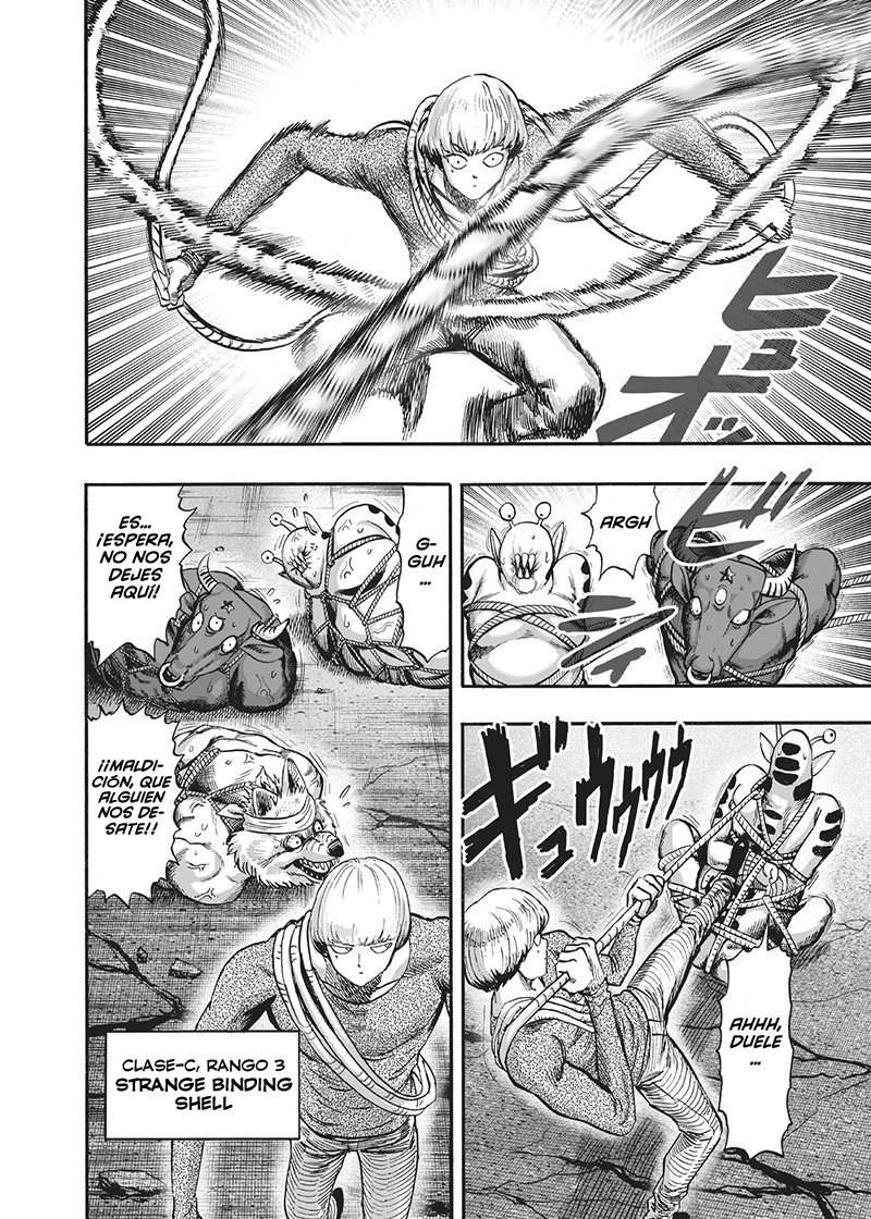 One Punch-Man capítulo 135.5 página 11
