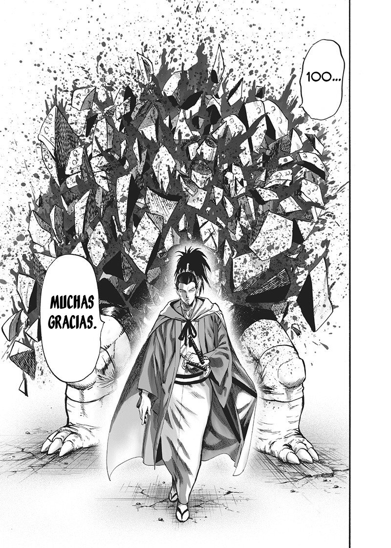 One Punch-Man capítulo 135.5 página 49