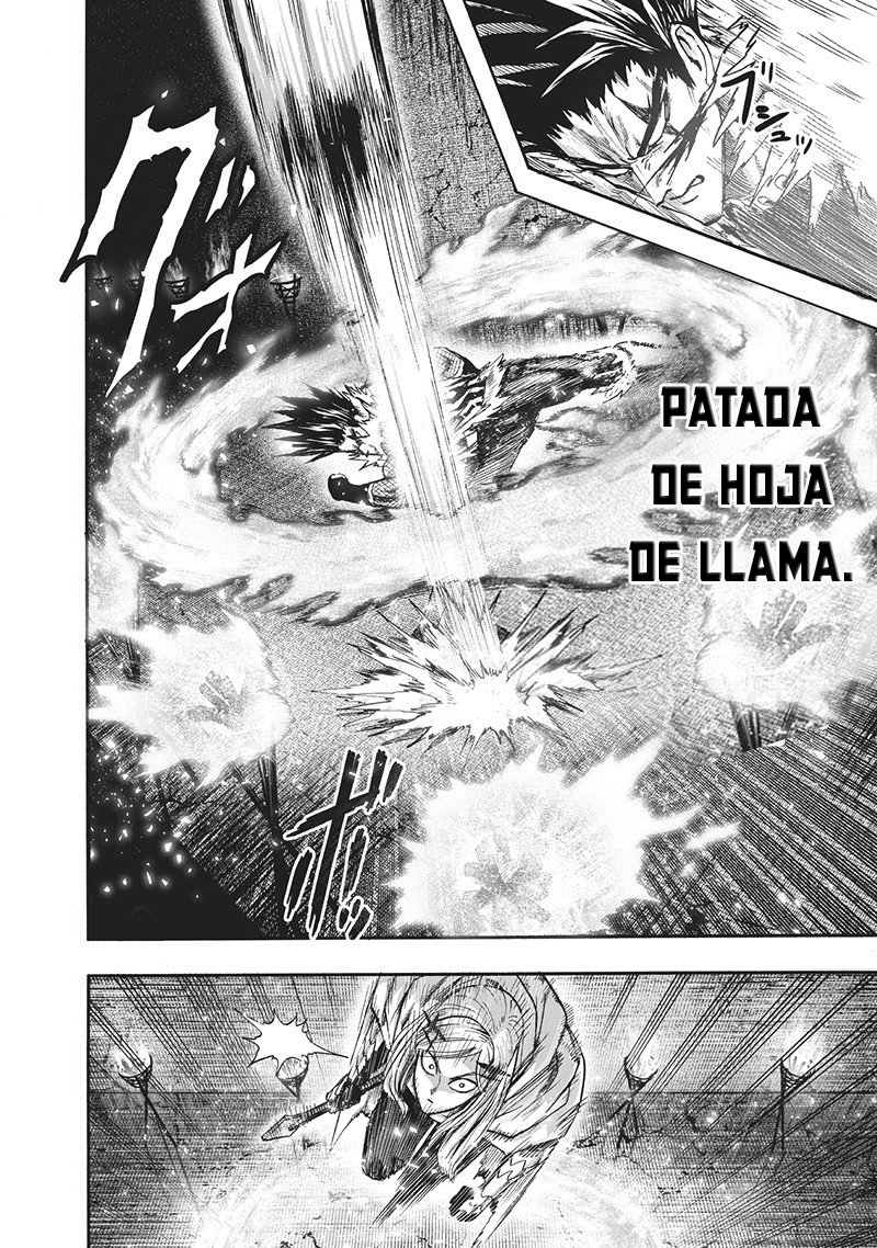 One Punch-Man capítulo 136 página 28