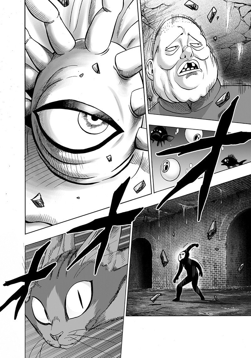 One Punch-Man capítulo 148 página 24