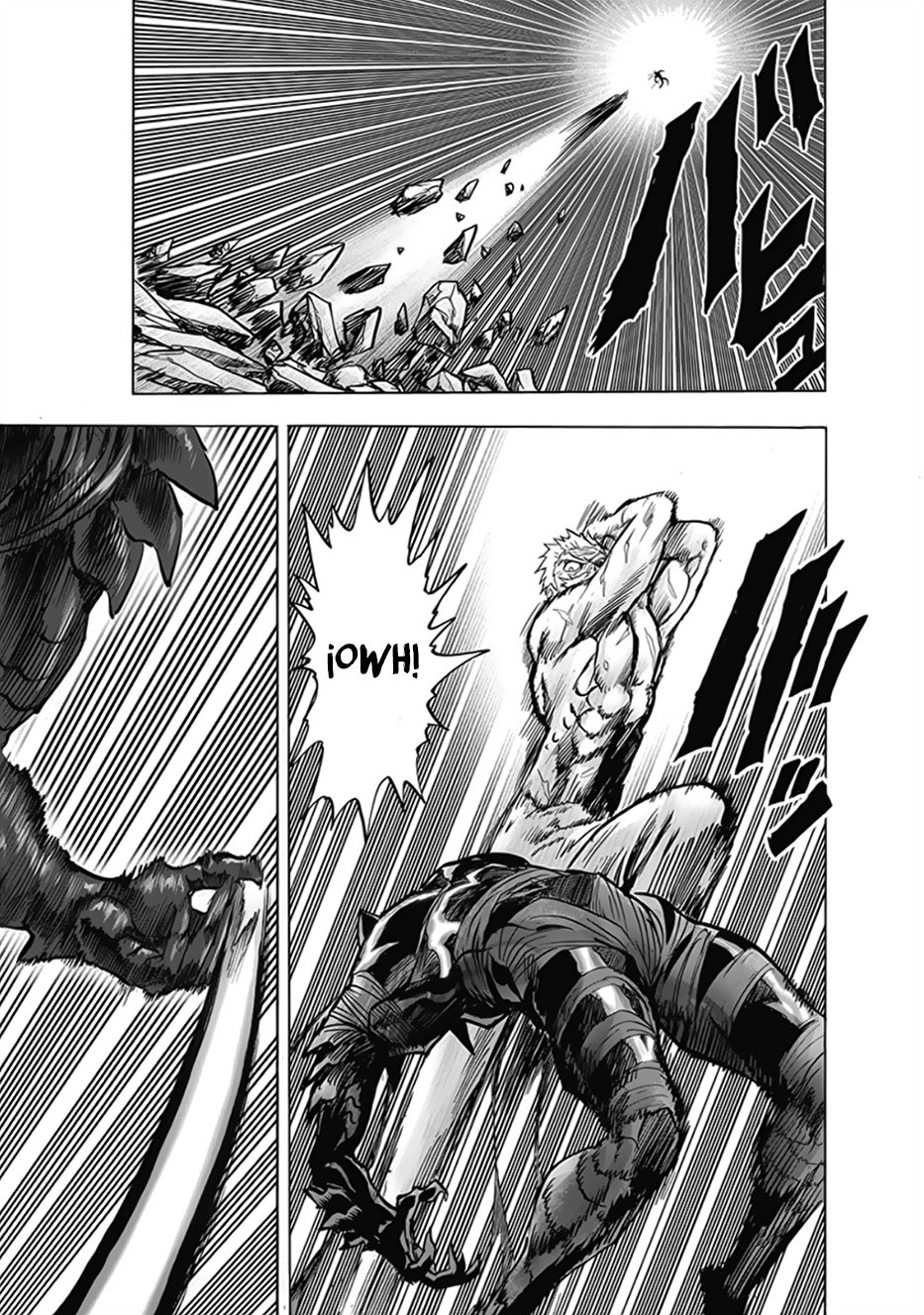 One Punch-Man capítulo 191 página 12
