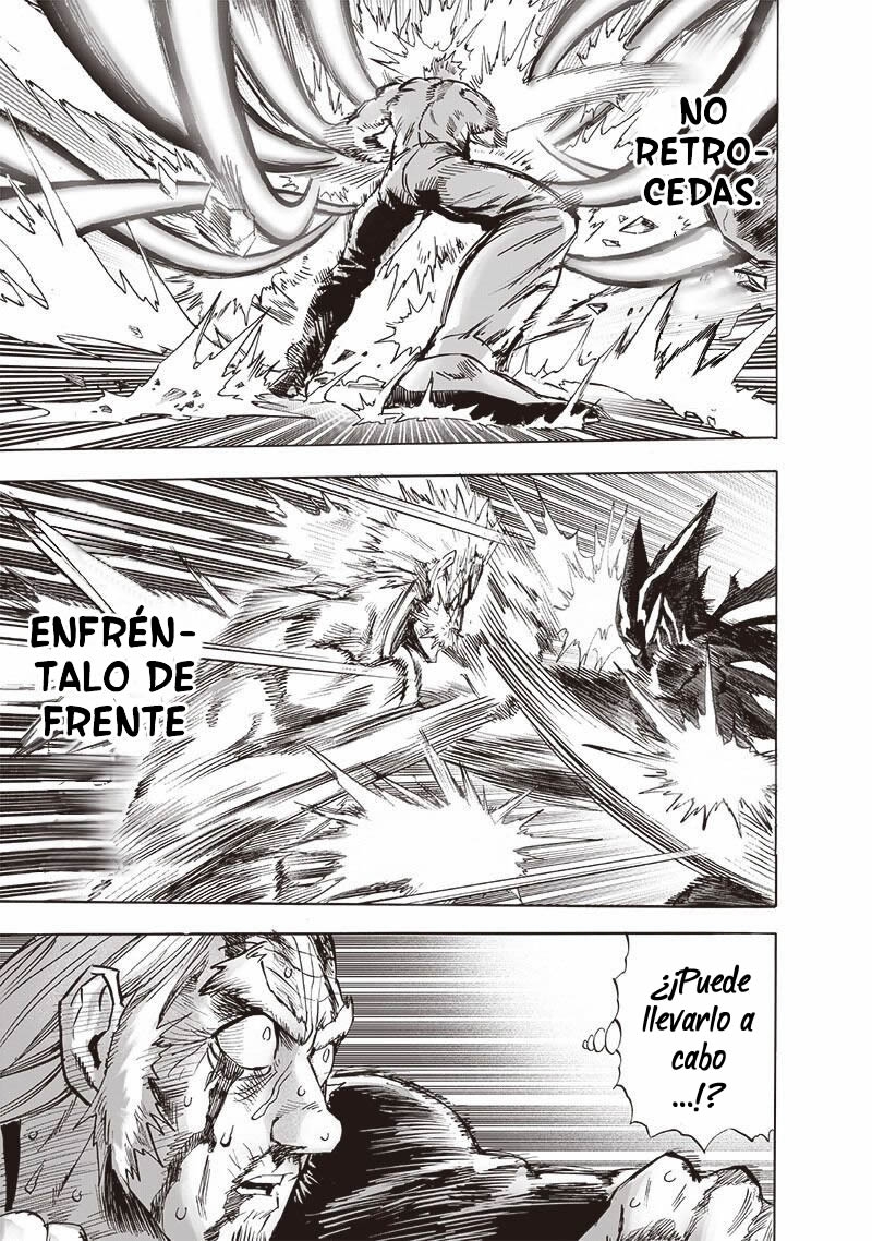 One Punch-Man capítulo 196 página 17