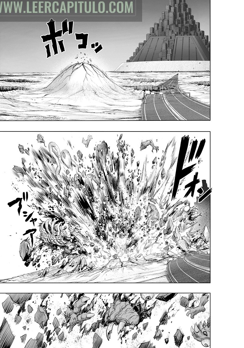 One Punch-Man capítulo 226 página 15