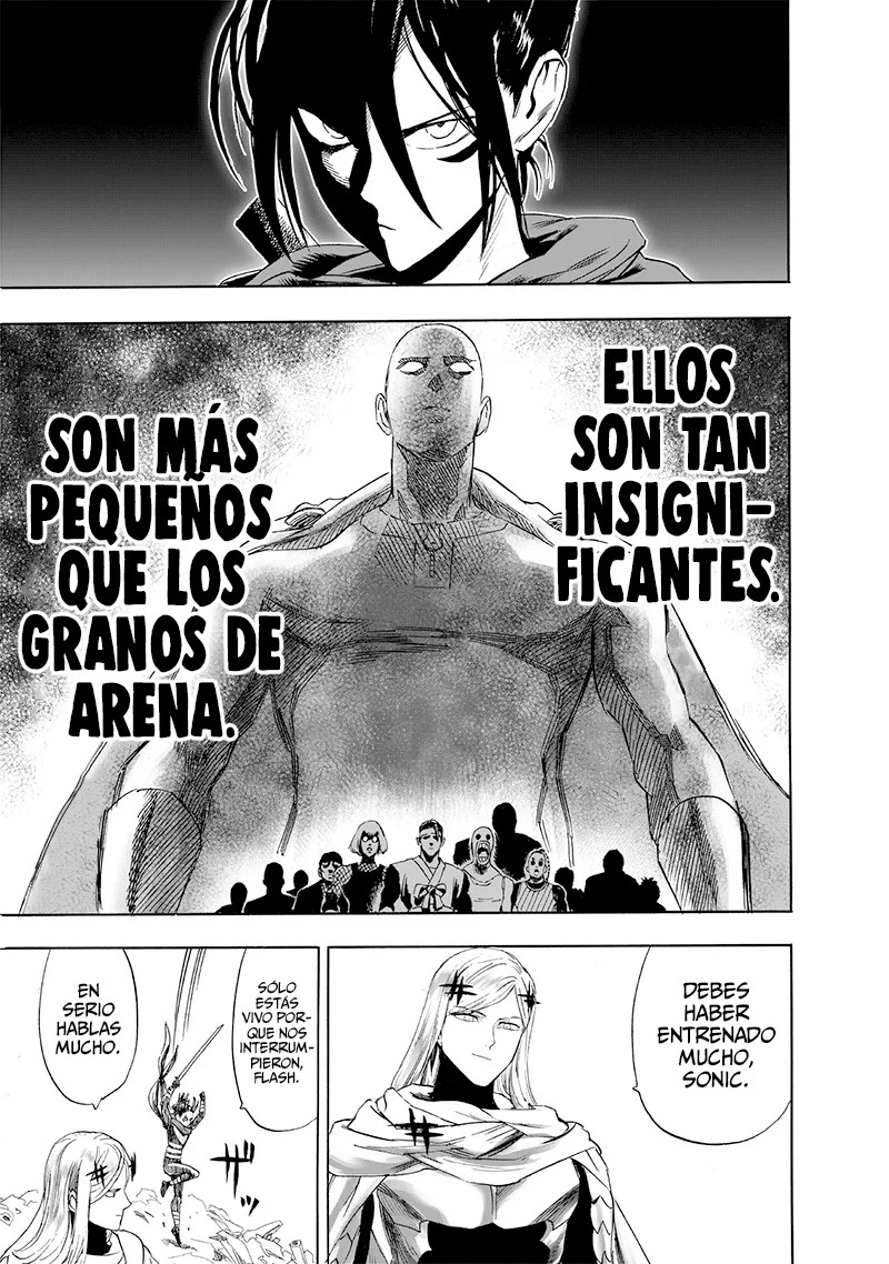 One Punch-Man capítulo 237.3 página 19