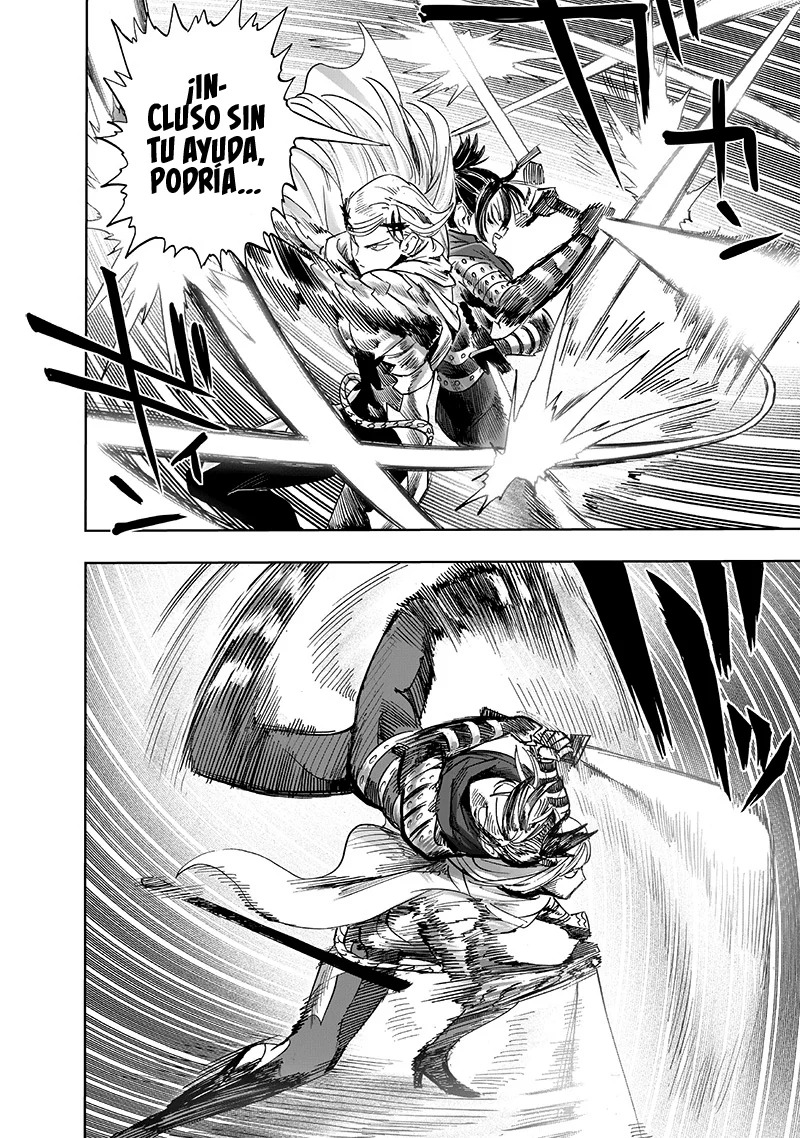 One Punch-Man capítulo 237.4 página 12