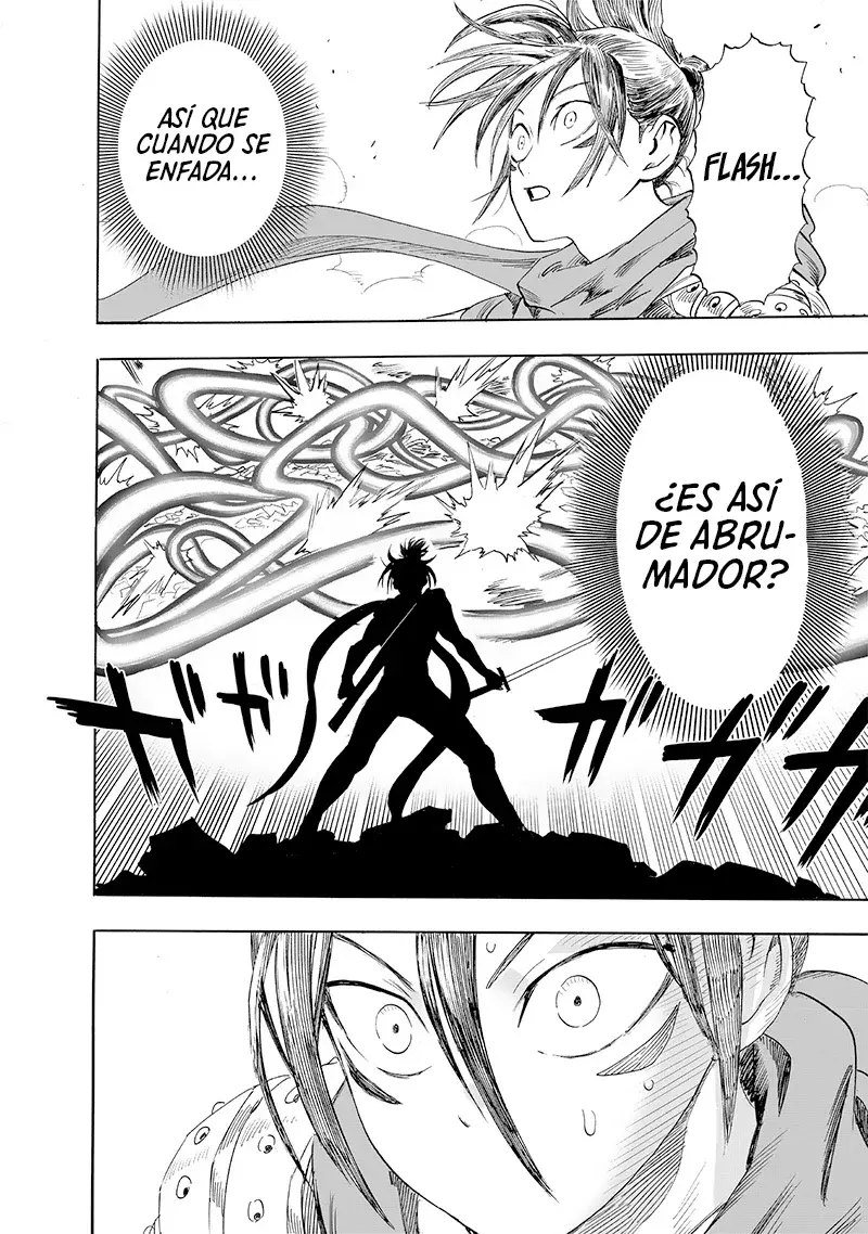One Punch-Man capítulo 237.7 página 13