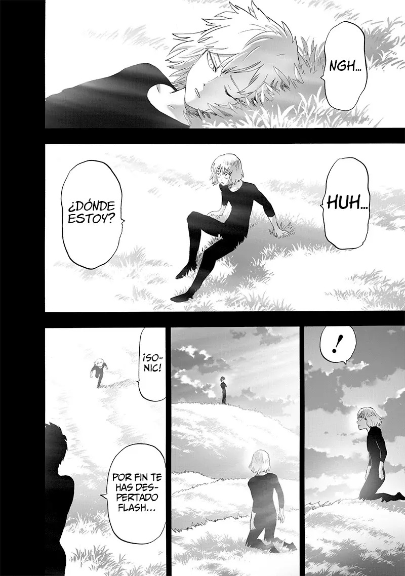 One Punch-Man capítulo 237.7 página 22