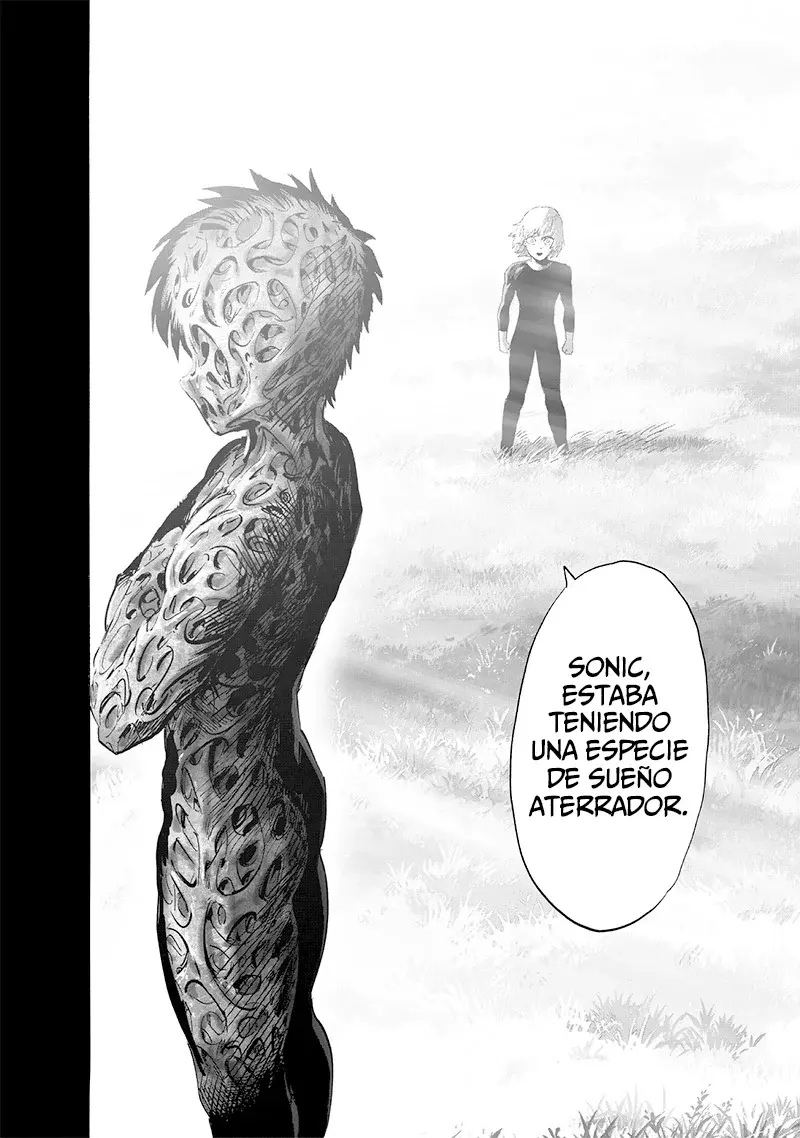 One Punch-Man capítulo 237.7 página 24