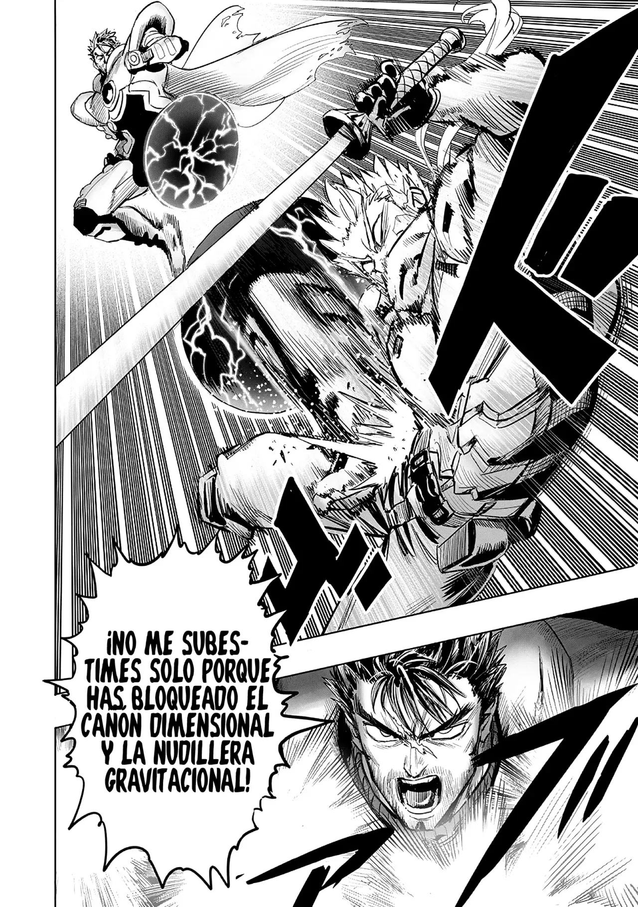 One Punch-Man capítulo 251 página 13