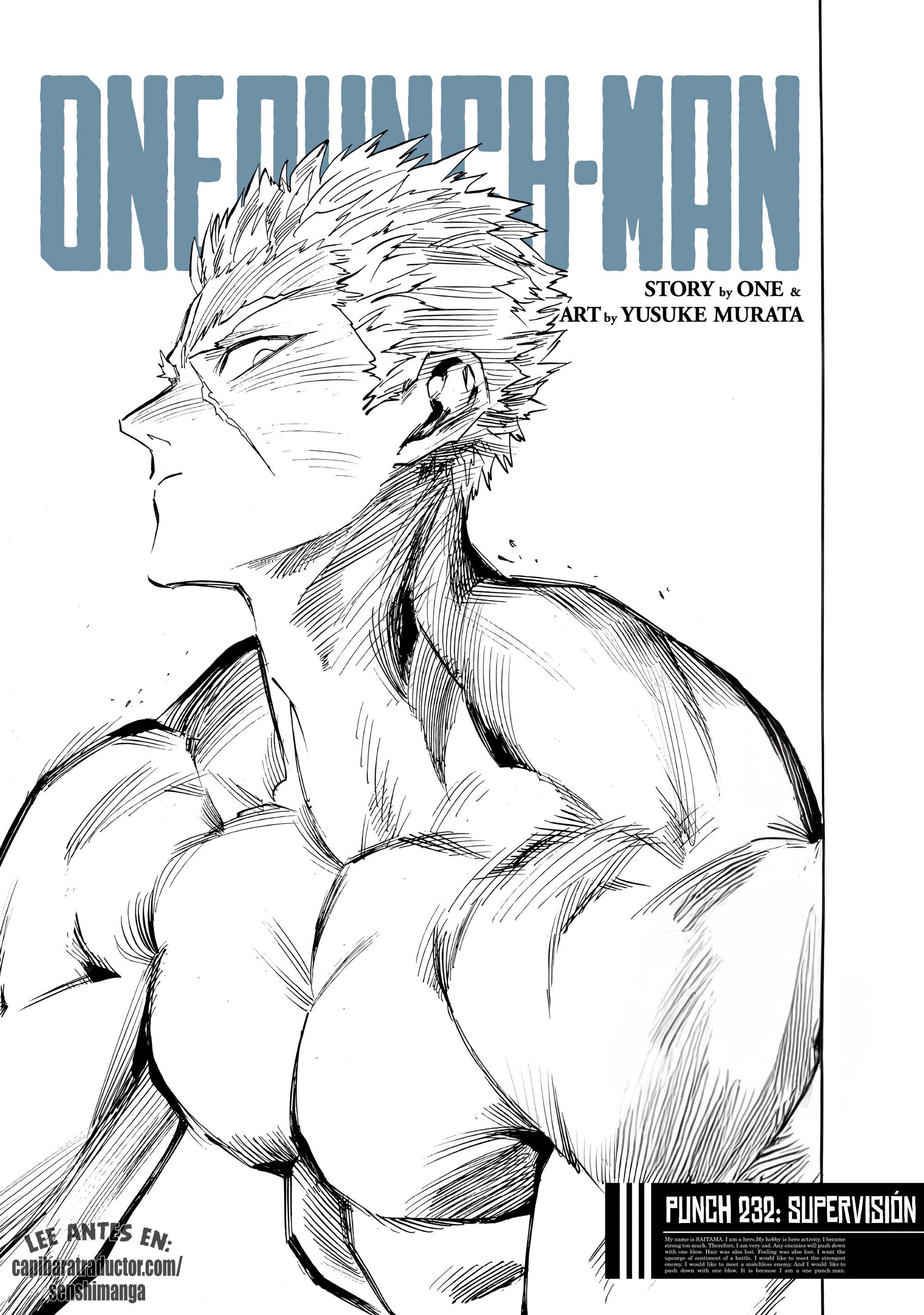 One Punch-Man capítulo 293 página 1