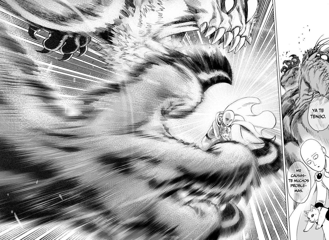 One Punch-Man capítulo 63.05 página 29