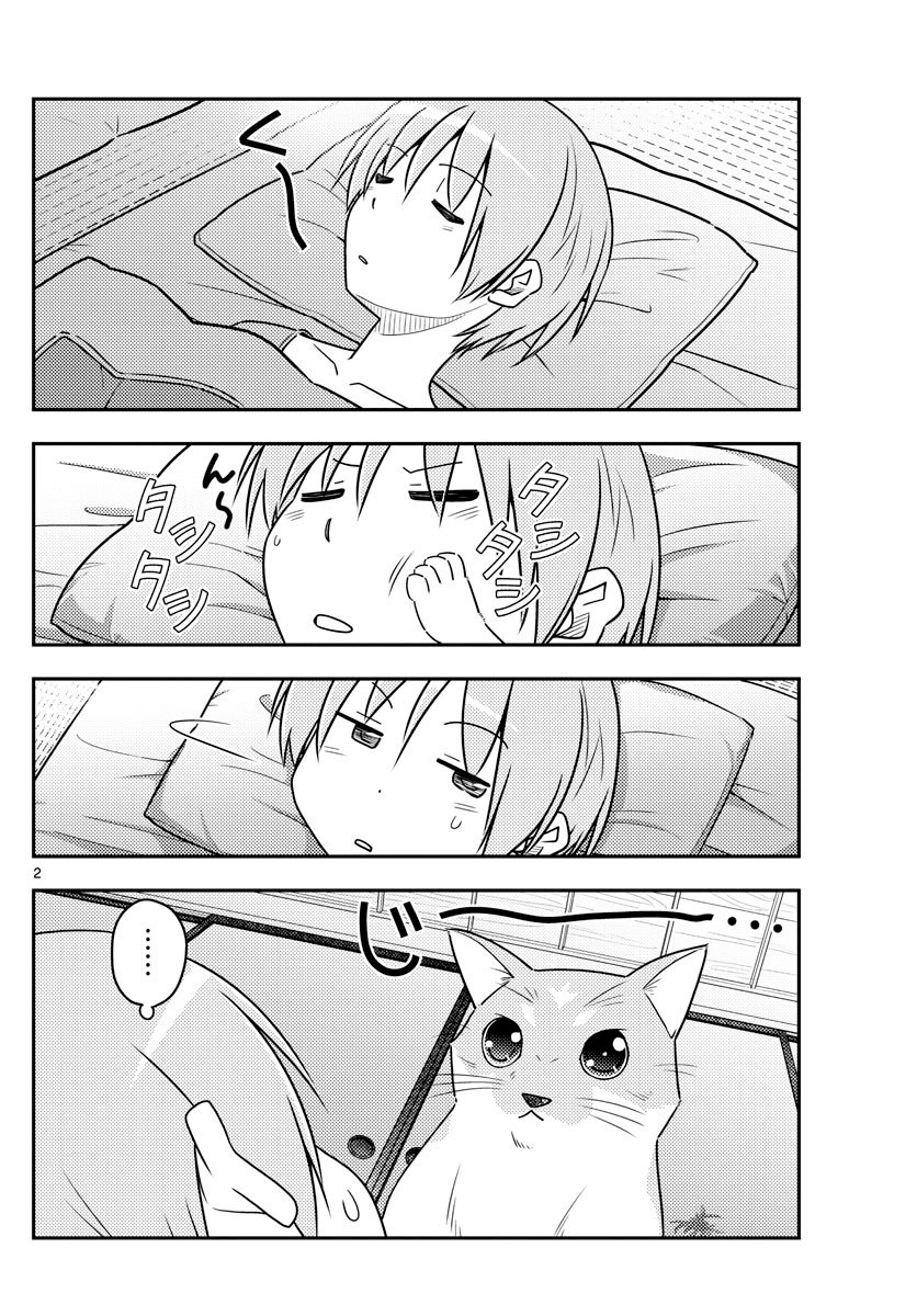 Tonikaku Kawaii capítulo 52 página 3