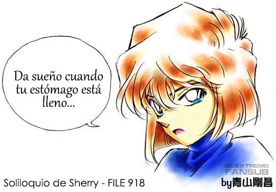Detective Conan capítulo 918 página 18