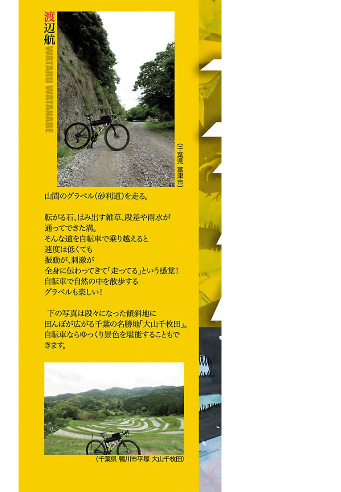 Yowamushi Pedal capítulo 620 página 3