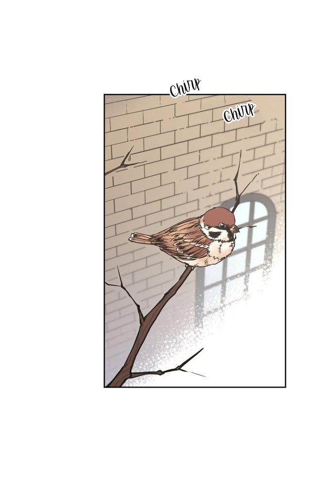 CHITRA capítulo 26 página 5