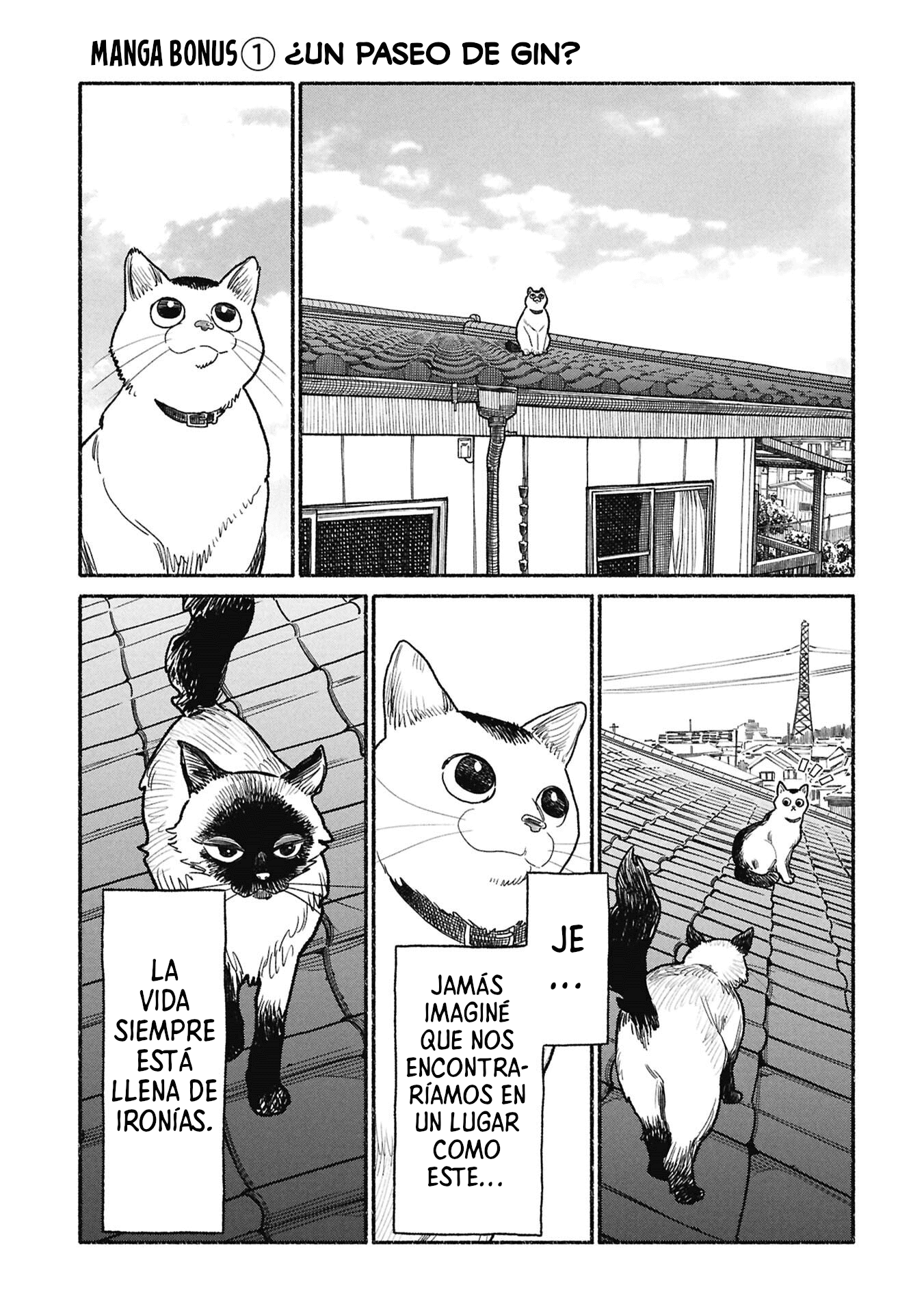 Gokushufudou capítulo 153.5 página 5