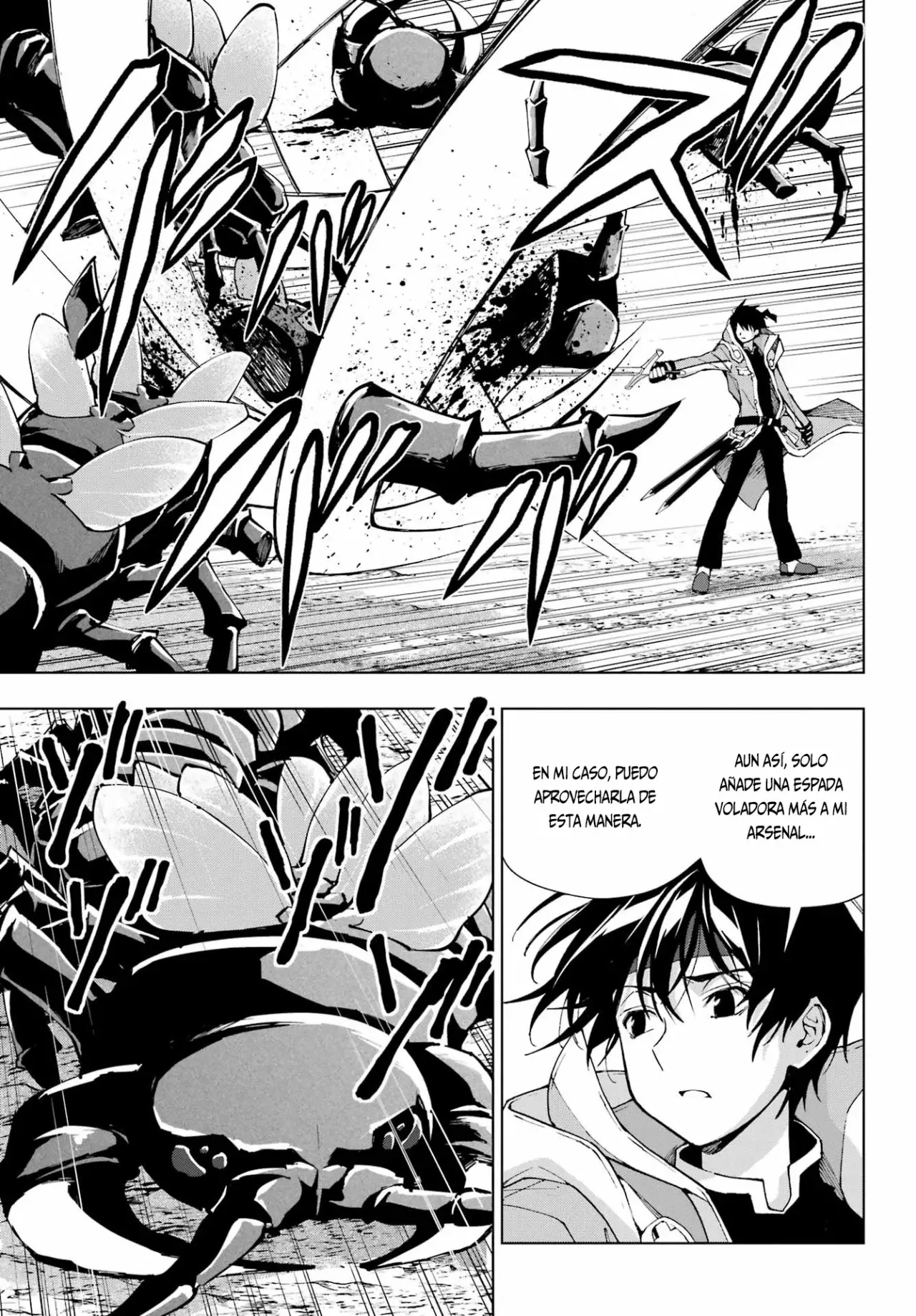 The Swordsman Called the Countless Swords Sorcerer capítulo 41 página 6