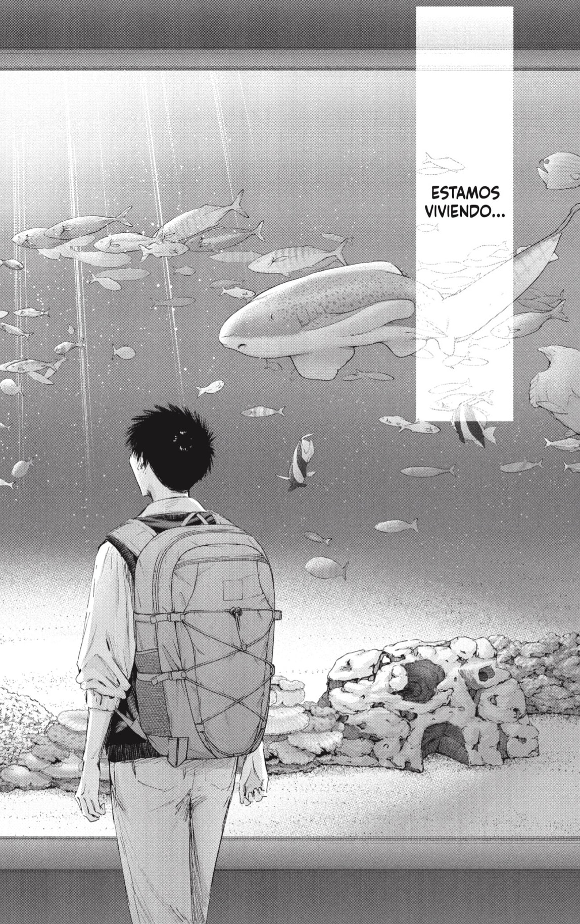 Ao no Hako capítulo 235 página 12