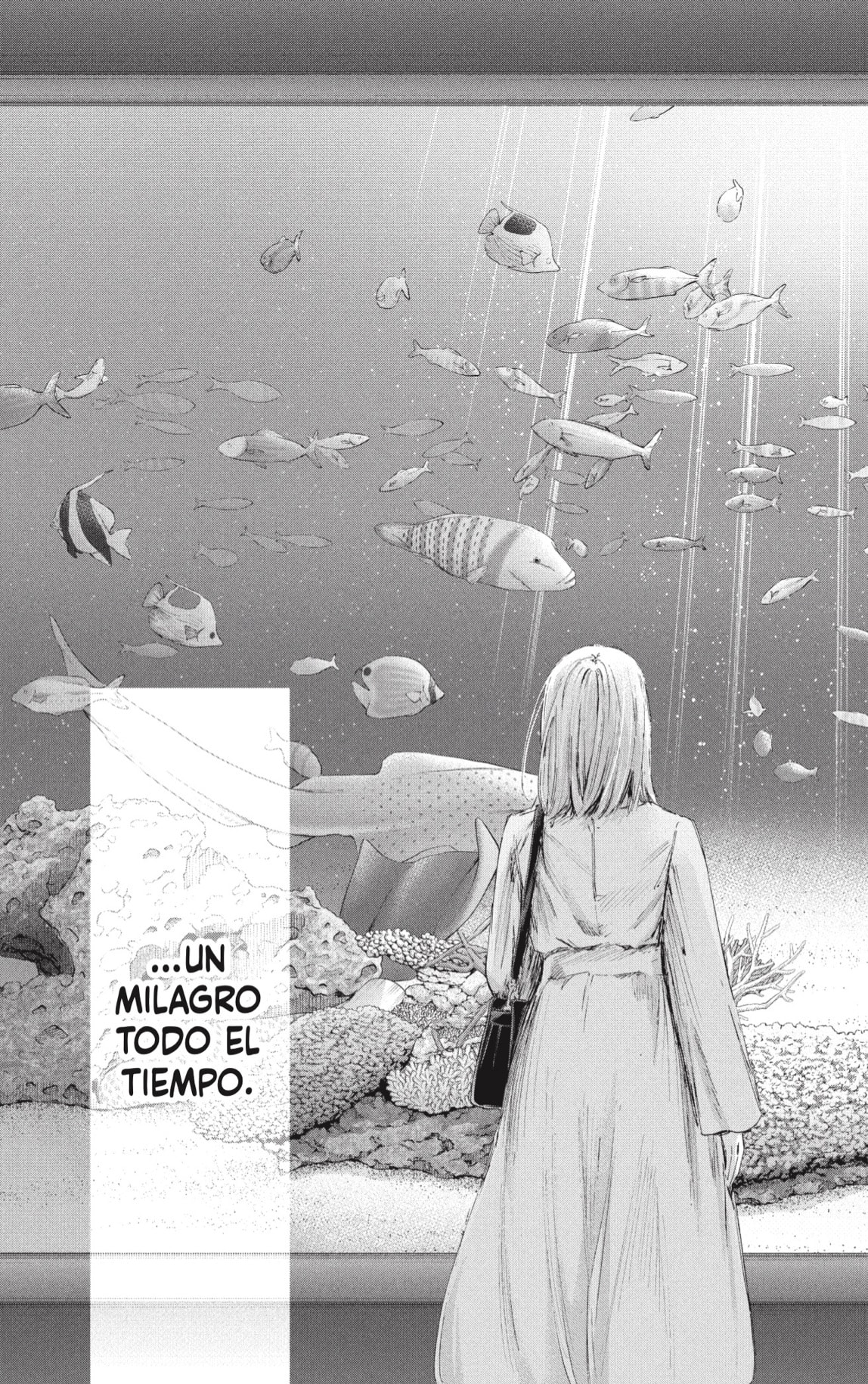 Ao no Hako capítulo 235 página 13