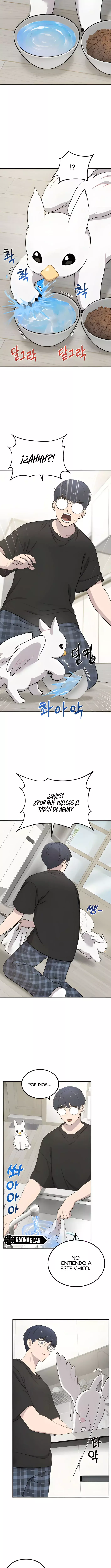 ¡Hola, Pequeño Grifo Peludo! capítulo 2 página 12