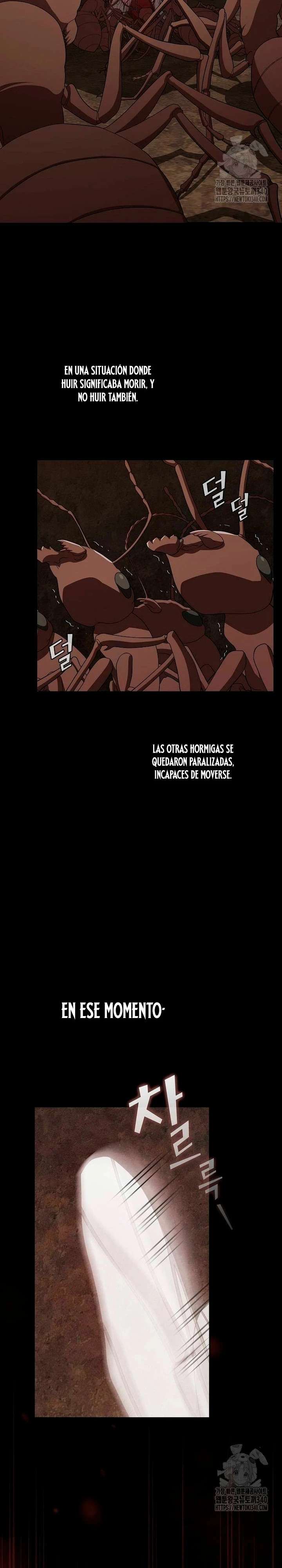 la torre del tutorial con el jugador avanzado capítulo 210 página 20