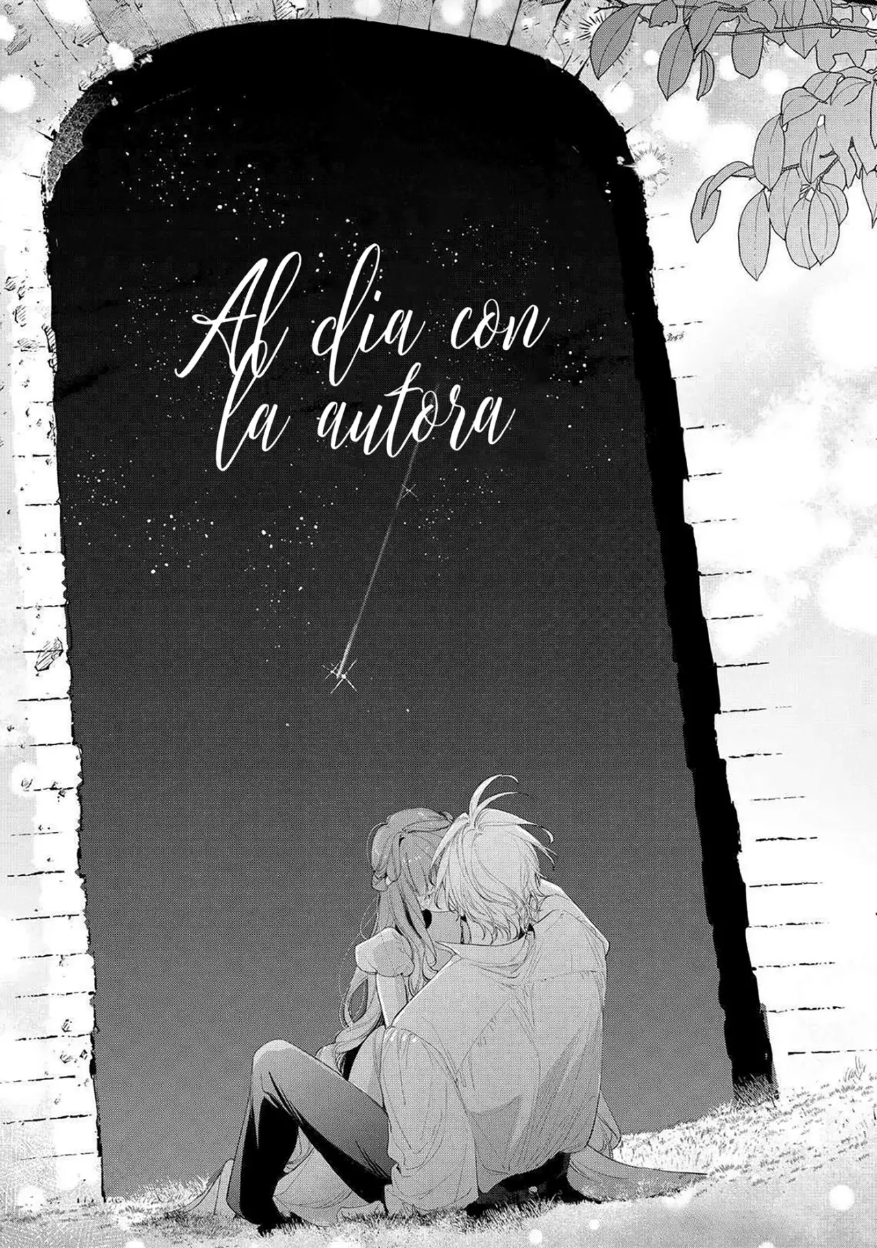 Hana himeru kimi no meteor capítulo 27 página 35