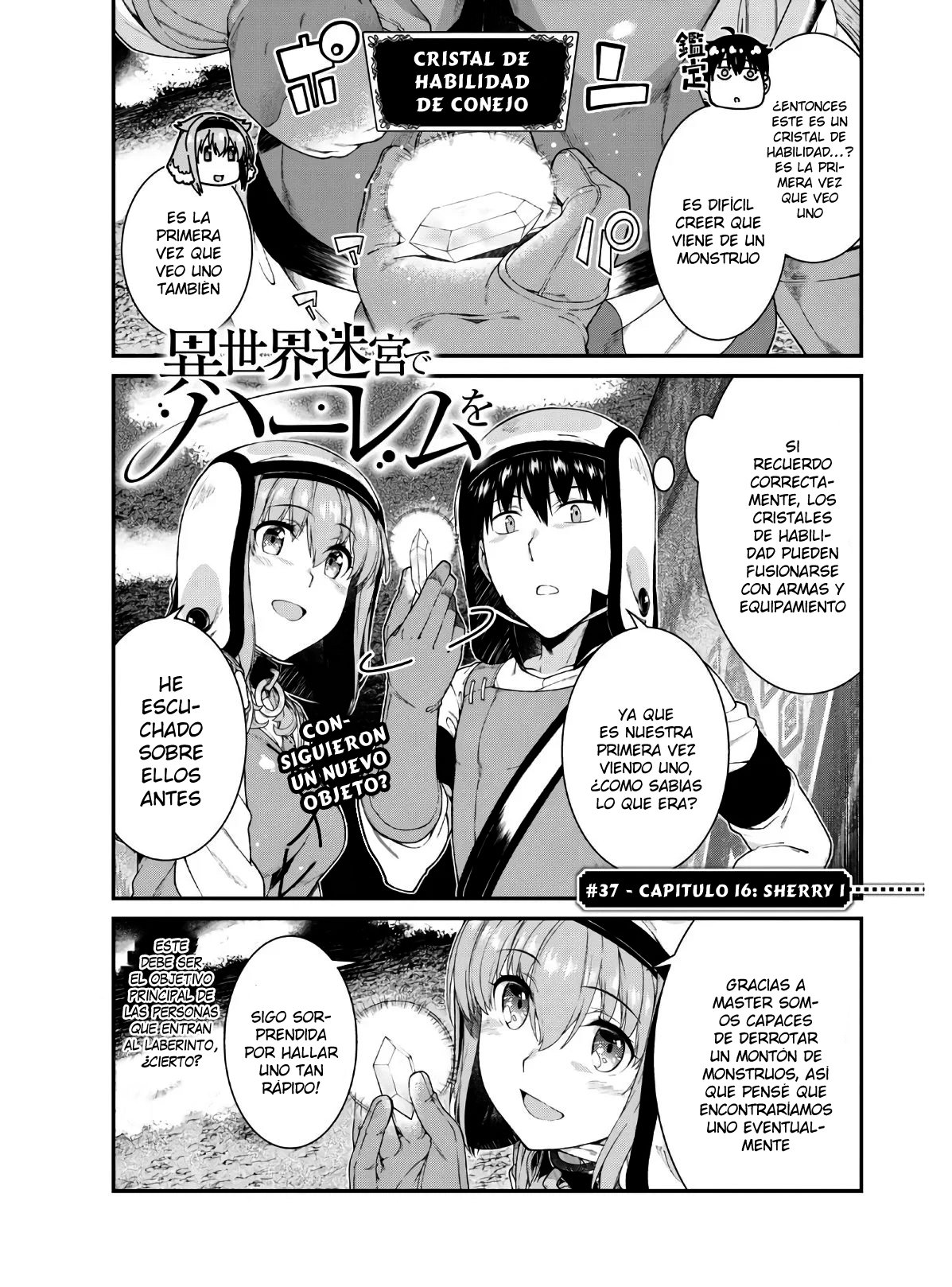Isekai Meikyuu de Dorei Harem wo capítulo 16 página 2