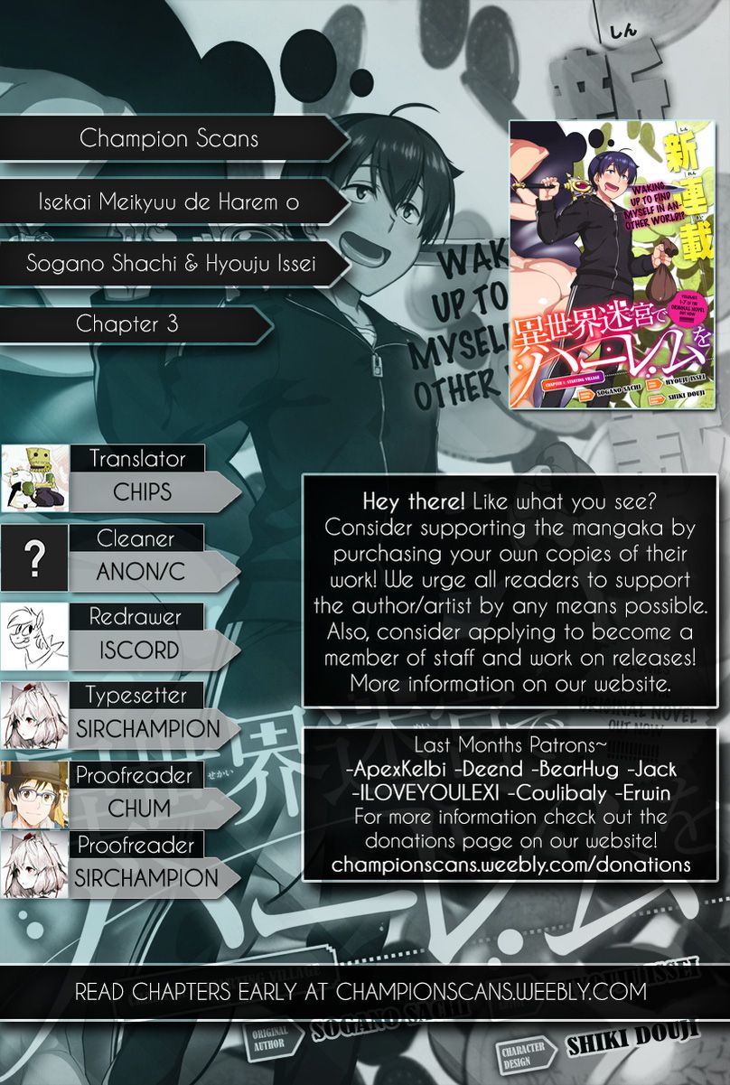 Isekai Meikyuu de Dorei Harem wo capítulo 3 página 31