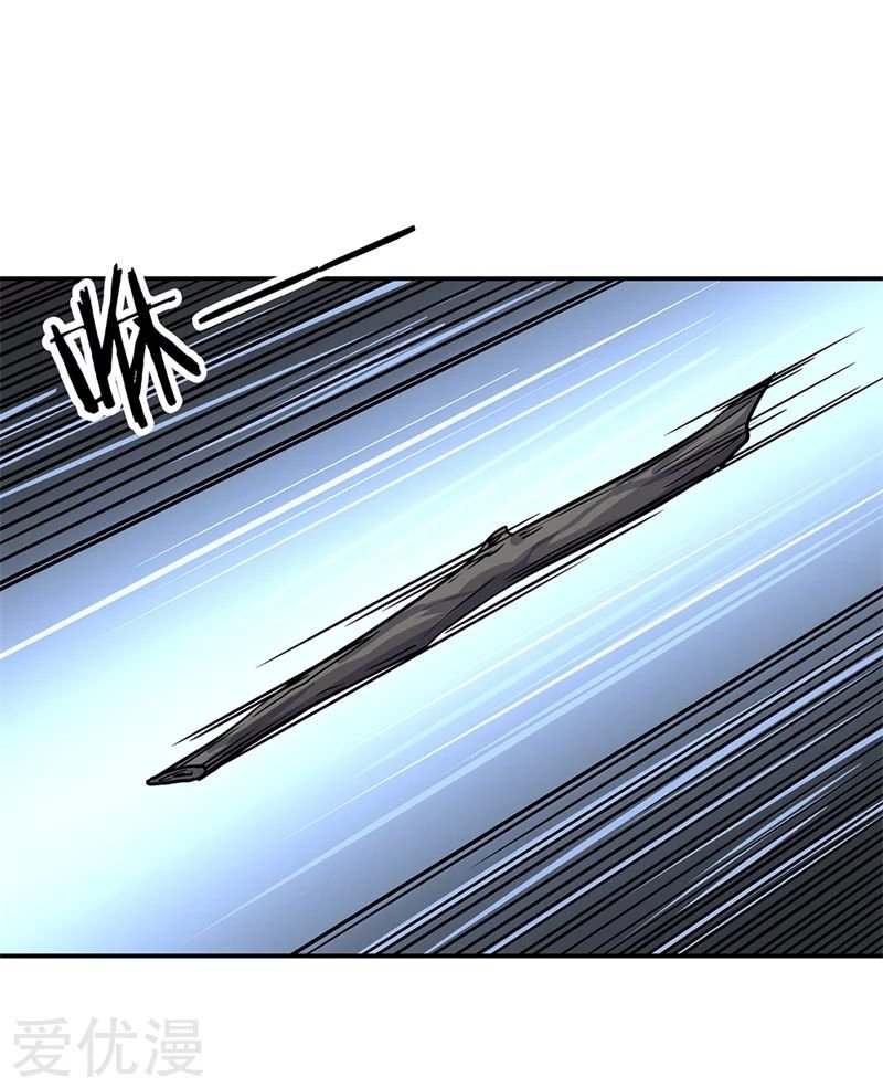 Peerless Battle Spirit capítulo 139 página 8