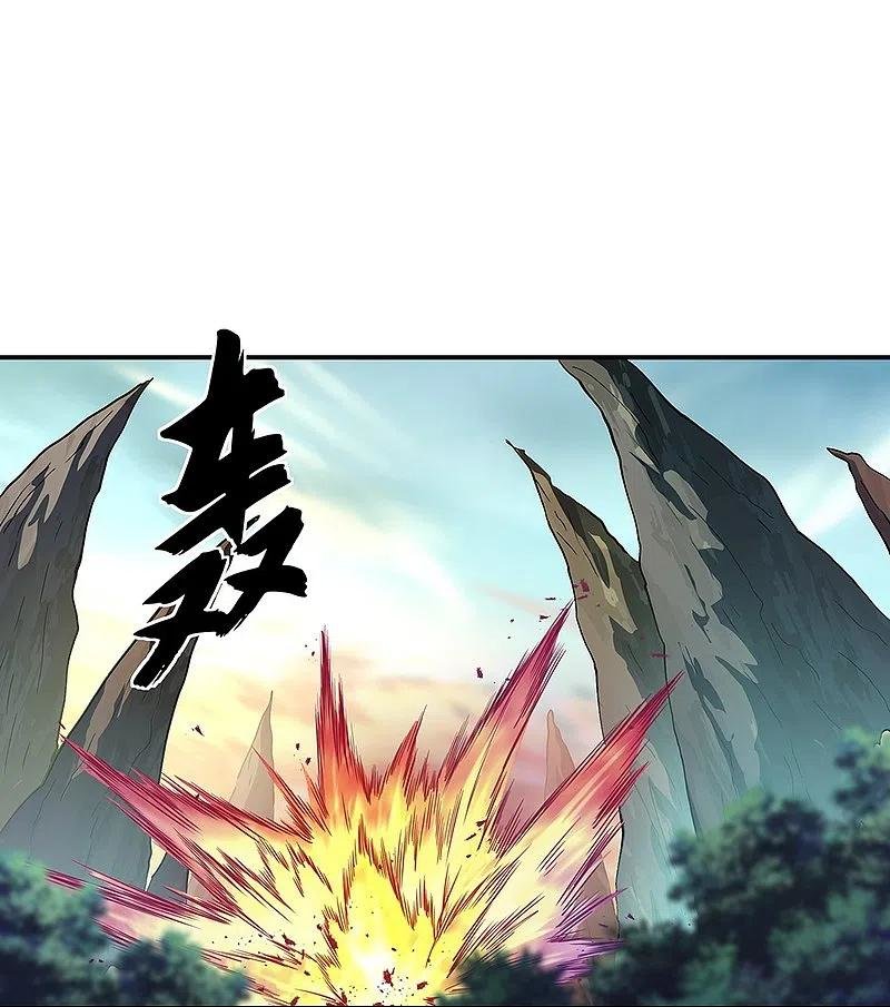 Peerless Battle Spirit capítulo 319 página 27