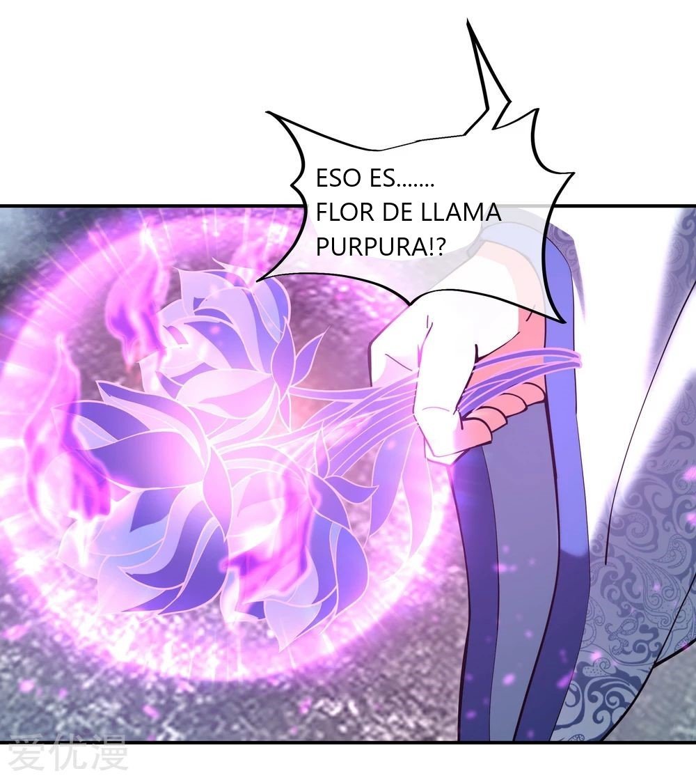 Peerless Battle Spirit capítulo 63 página 3