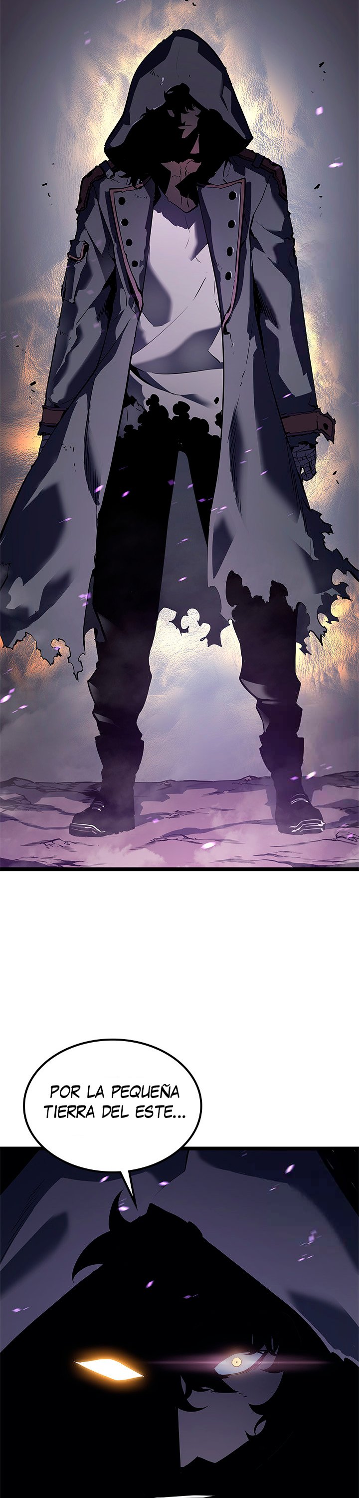Solo leveling capítulo 111 página 10