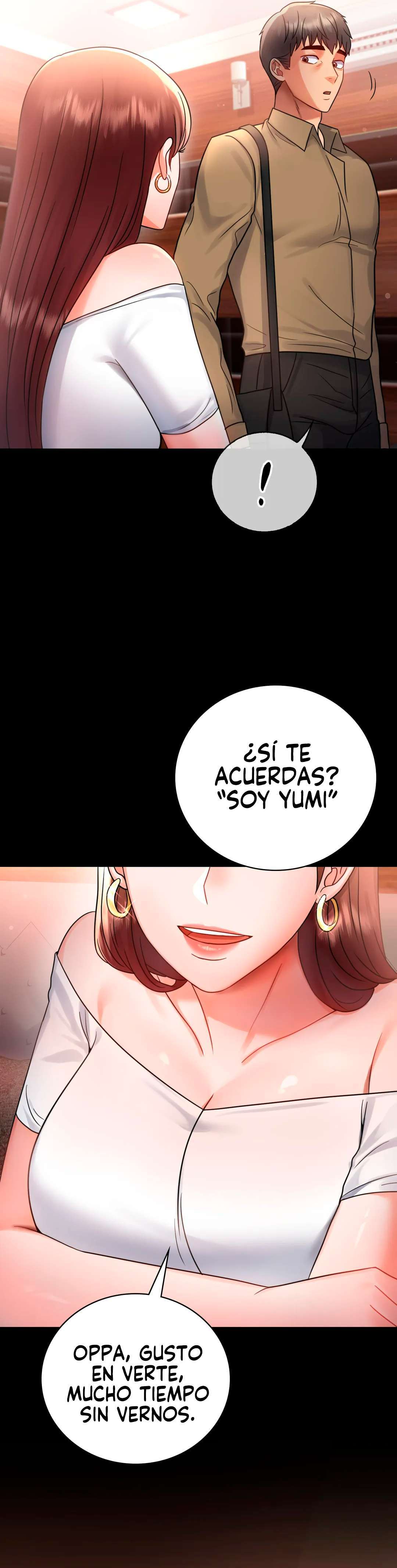 Amor Ilícito capítulo 67 página 17